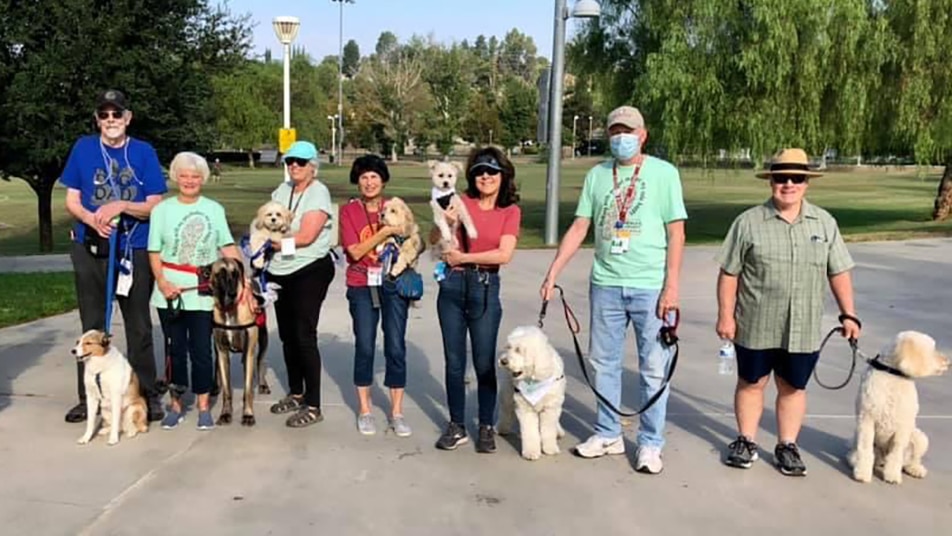Community volunteers walking rescued dogs together